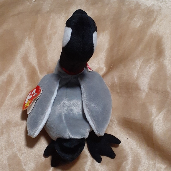 Loosy - Picture 3 of 8